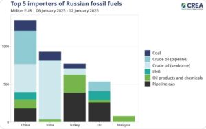 Russia Fossil Fuel Importers